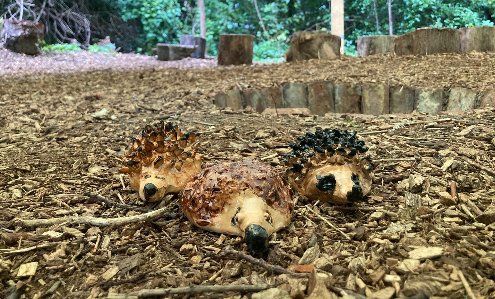 Wooden hedgehogs